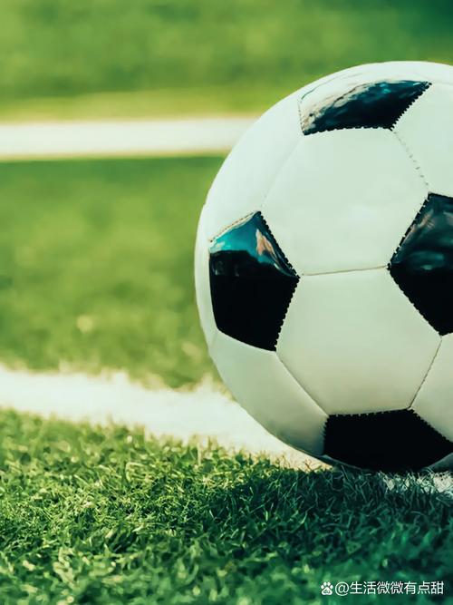 足球赛事数据统计图表