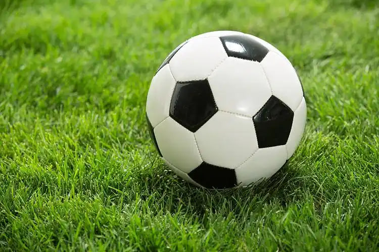 足球竞彩数据分析场景